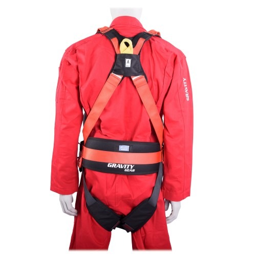 FA-Harness-Back-1-Custom