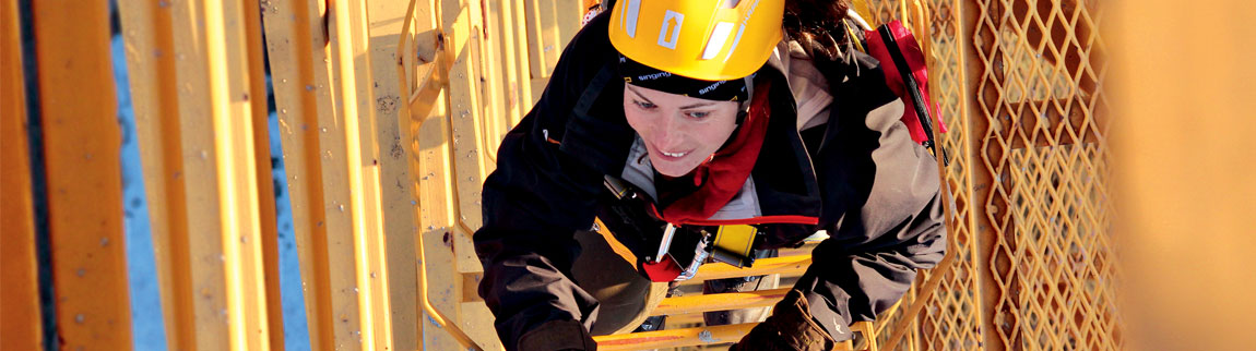 solutions and systems for working at height